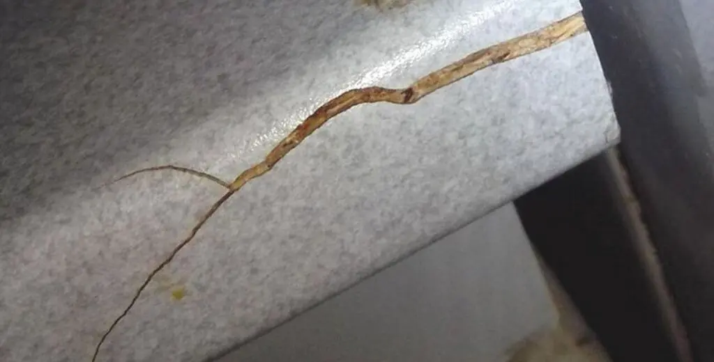 Трещина на столешнице