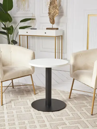 Стол 0865DT детальная картинка фото 9