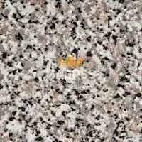 4550-01 Granite Столешница Wilsonart глянец фото