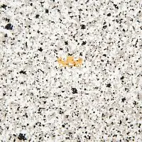 R7920TC Крошка Столешница Duropal матовая