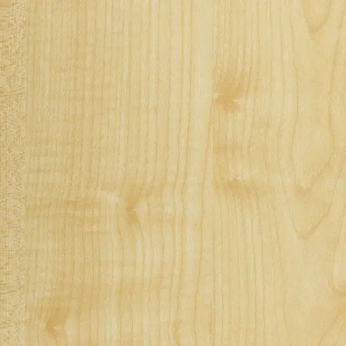 Столешница из массива Клёна детальная картинка