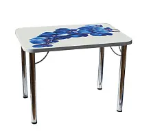 Стол обеденный "Микс" с фотопечатью фото анонс товара