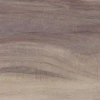 6980 D54 КАУРИ Столешница Сити Пласт 40*600*2440мм фото