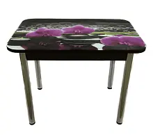 Стол обеденный "Былина" с фотопечатью фото анонс товара