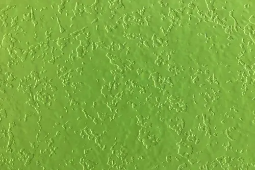 U1878CT Зеленый Столешница Duropal структурная фото 2