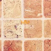 2024/S 2гр. Кафель Столешница матовая