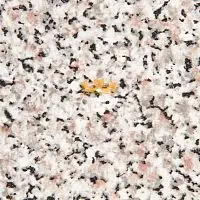 924/L* Гранит сардинский Столешница Abet глянец