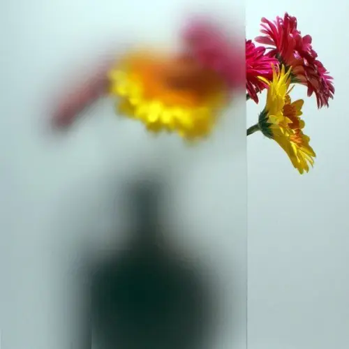 Стекло Фактурное Сатинат детальная картинка