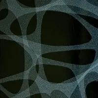 5059 Чёрный твист Столешница Lamicolor Lucido фото