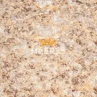 1838-45 Crystalline Dune Столешница Wilsonart HD Фасет