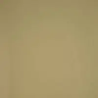 1363 Слоновая кость тёмный Столешница Lamicolor Lucido фото