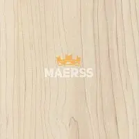 H3860 ST9 Клён сахарный шампань Столешница EGGER