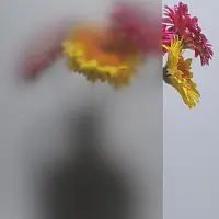 Стекло сатинато бронза фото анонс товара