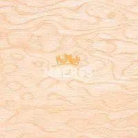 1861 Lucida Выбеленная радика Столешница ARPA глянцевая