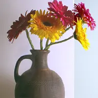 Стекло фото анонс товара