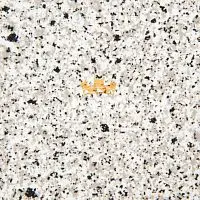 F7920TC Крошка стеновая панель Duropal