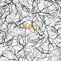 105$/М 4гр. Зимние ветви Столешница матовая