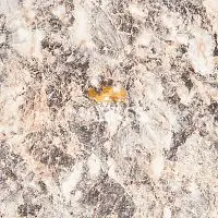 4904-38 Desert Springs Стеновая панель Wilsonart 6*600*3660мм фото анонс товара