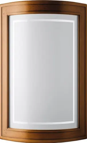 Фасад Массив Арена детальная картинка фото 8