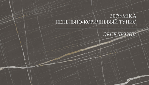 3079/E 9гр. Пепельно-коричневый Тунис Столешница глянцевая фото 3